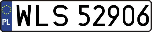 WLS52906