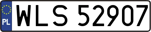 WLS52907