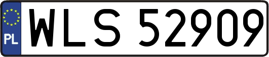 WLS52909