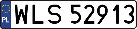 WLS52913