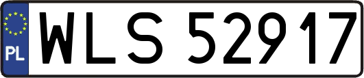 WLS52917