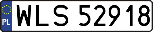 WLS52918