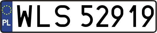 WLS52919