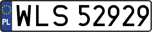 WLS52929