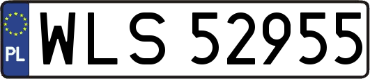 WLS52955