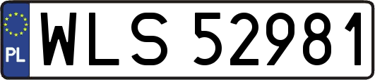 WLS52981