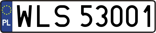 WLS53001