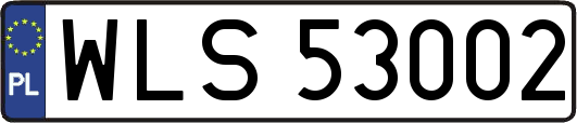 WLS53002