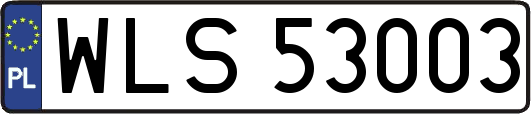 WLS53003