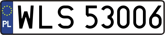 WLS53006