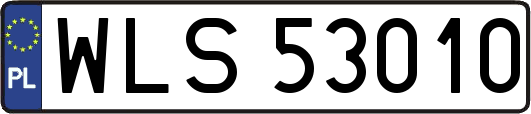 WLS53010