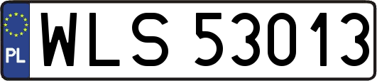 WLS53013