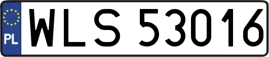 WLS53016