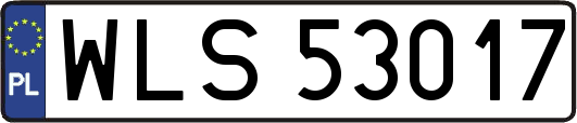 WLS53017