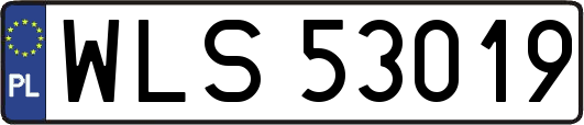 WLS53019