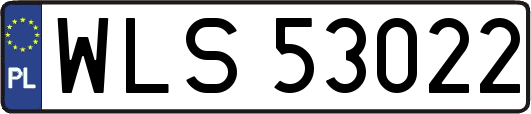 WLS53022