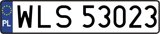 WLS53023