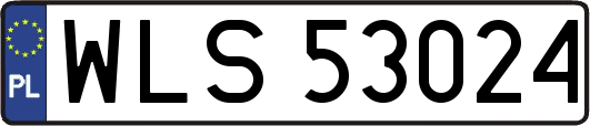 WLS53024