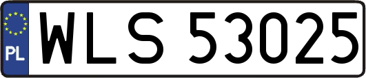 WLS53025
