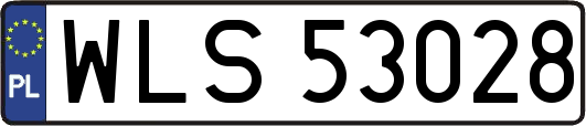 WLS53028