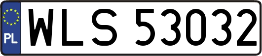 WLS53032