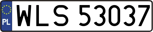 WLS53037