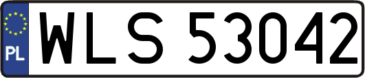 WLS53042