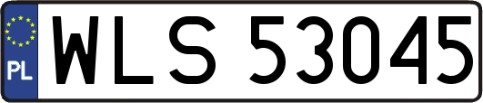 WLS53045