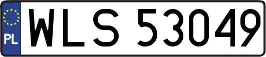 WLS53049