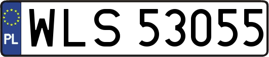 WLS53055