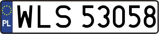 WLS53058