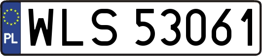 WLS53061