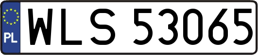 WLS53065