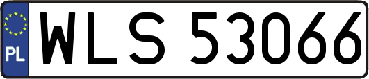 WLS53066