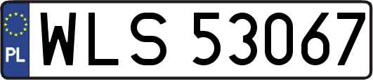 WLS53067
