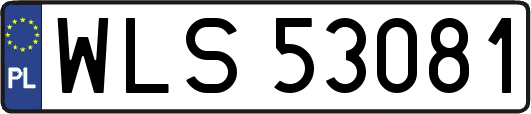 WLS53081