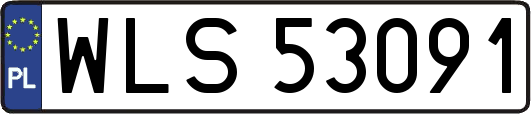 WLS53091