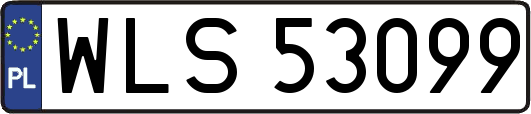 WLS53099