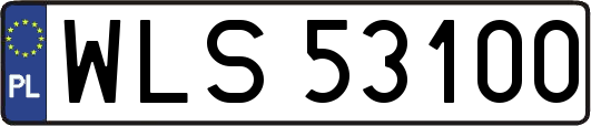 WLS53100
