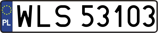 WLS53103