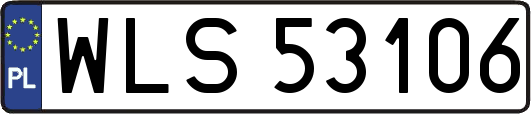 WLS53106