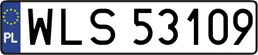 WLS53109