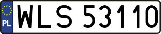 WLS53110