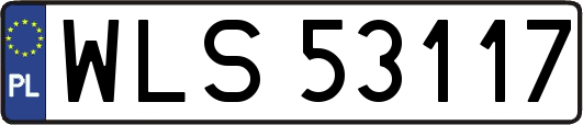 WLS53117