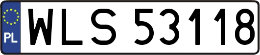 WLS53118