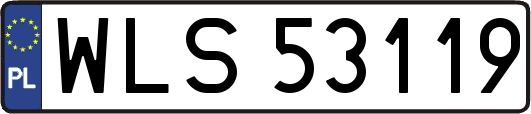 WLS53119