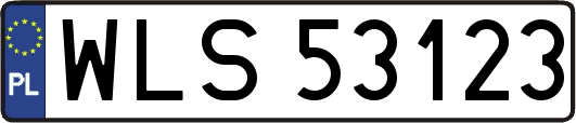 WLS53123