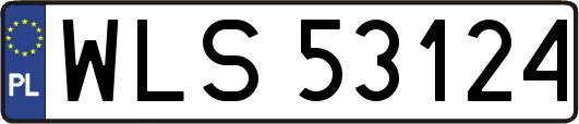 WLS53124