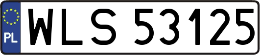 WLS53125
