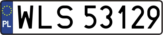 WLS53129